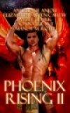 media.nightowlreviews.com/dynamic/covers/100x160/200804/phoenixrisingii.jpg